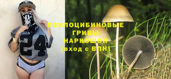 стаф Гусиноозёрск