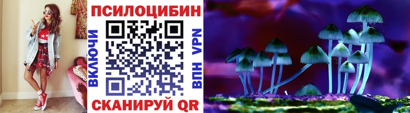 Псилоцибиновые грибы Magic Shrooms  что такое наркотик  Закаменск 